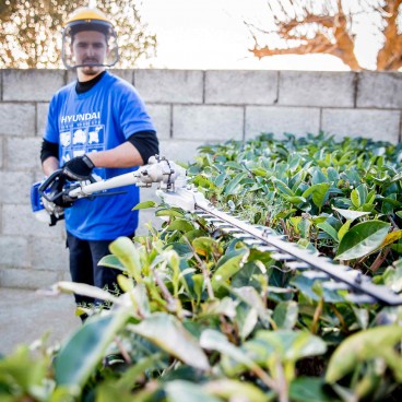 Desbrozadora, cortadora, podadora Hyundai. Cilindrada 43 cc.